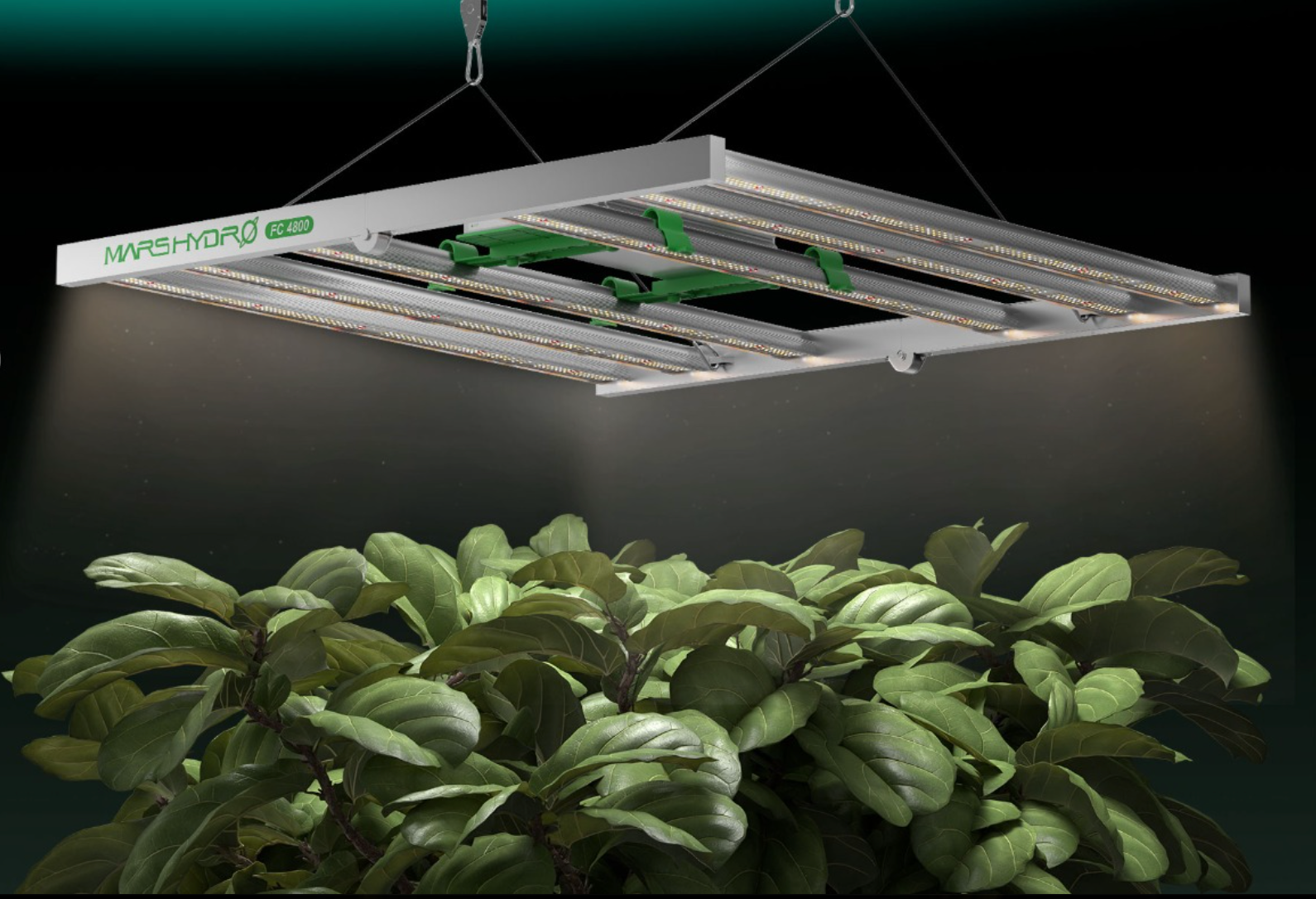 Why LED Grow Lights are best alternative to grow plants and veggies in all weather